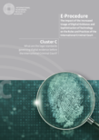 E-Procedure Cluster C Legal Standards